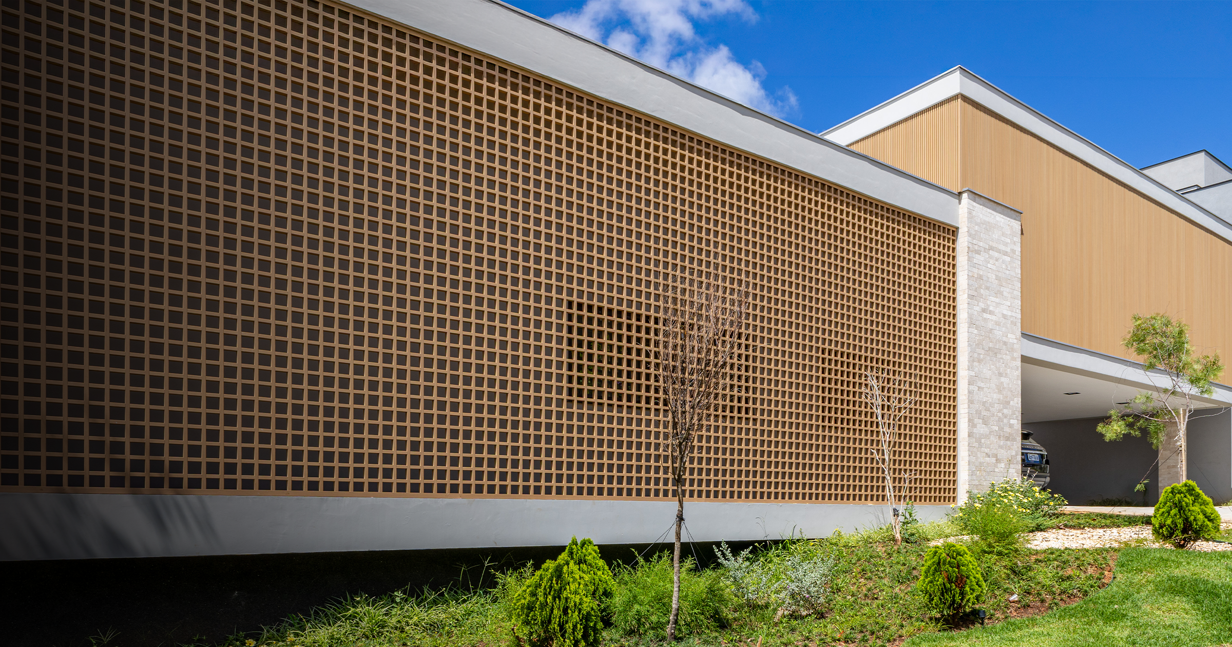 Muxarabi Arkos Arkowood x